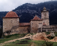 2000-2006 | Restauración de la cubierta de la iglesia de San Pedro (Castellón)