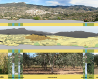 2008-2010 | Conjunto histórico de la villa y arrabales de Chelva (Valencia)