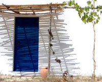 2016 | Estudio piloto en la isla de Formentera