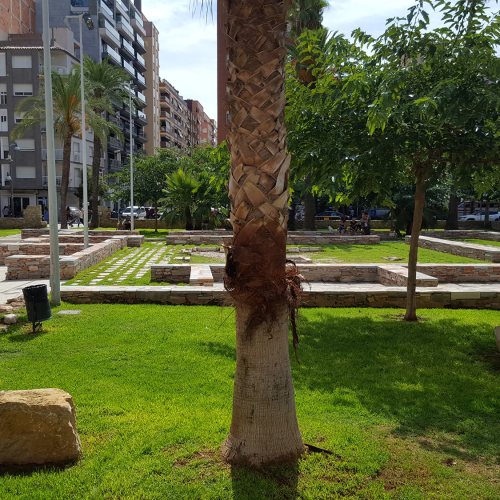 Jardin_de_la_memoria_4